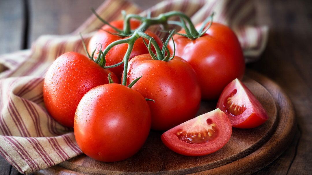 Tomatoes for outlet dogs